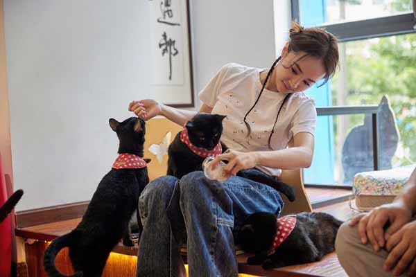 蔡依林喂食黑猫.jpg