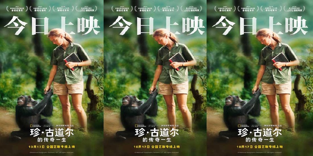 《珍·古道尔的传奇一生》今日上映 传奇女性精神力量鼓舞观众