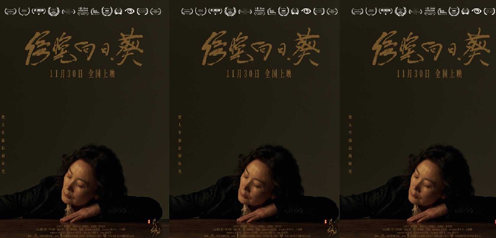 电影《傍晚向日葵》定档11月30日 以生命之诗看见过去和未来