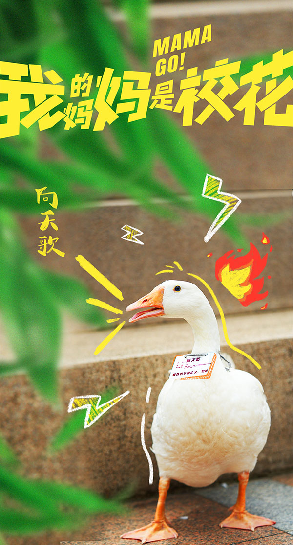 1720758234896889.jpg 9 拷贝.jpg