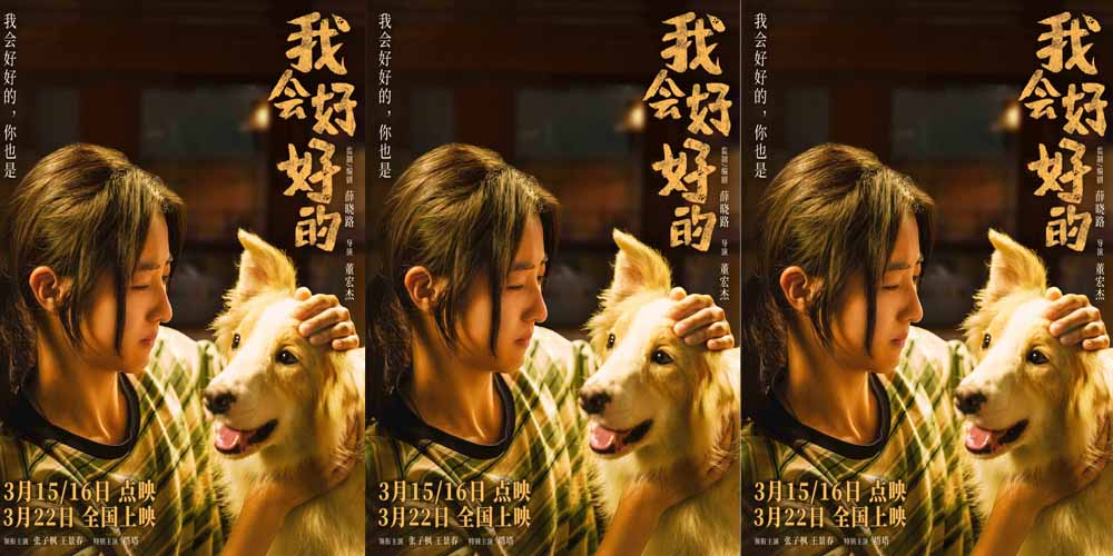 本周末点映！张子枫新片《我会好好的》小狗视角新预告抒发宠物无条件的爱