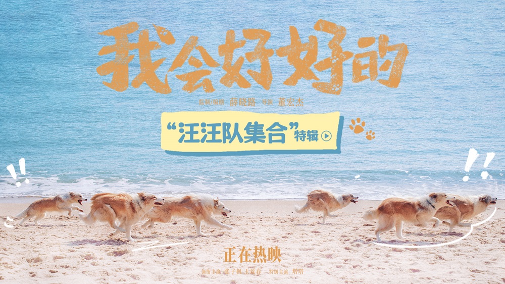 热映影片《我会好好的》六只狗狗各显神通 南京路演获评“开年最温情治愈电影”