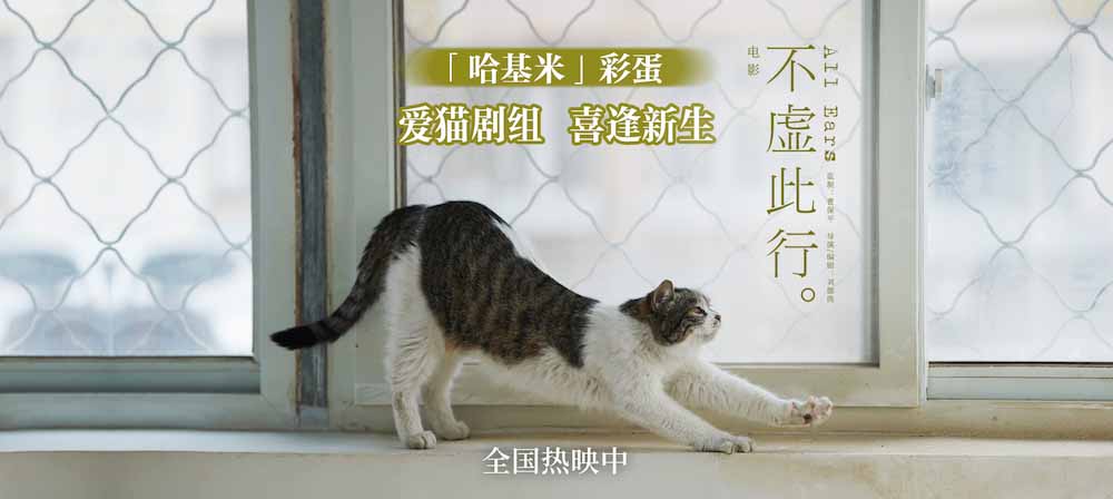 《不虚此行》曝片尾彩蛋及新海报 成都路演疗愈观众遗憾
